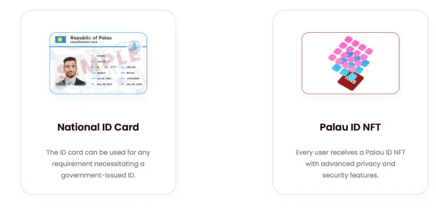 El carnet del Programa Residente Palau Digital se presenta de dos formas. 