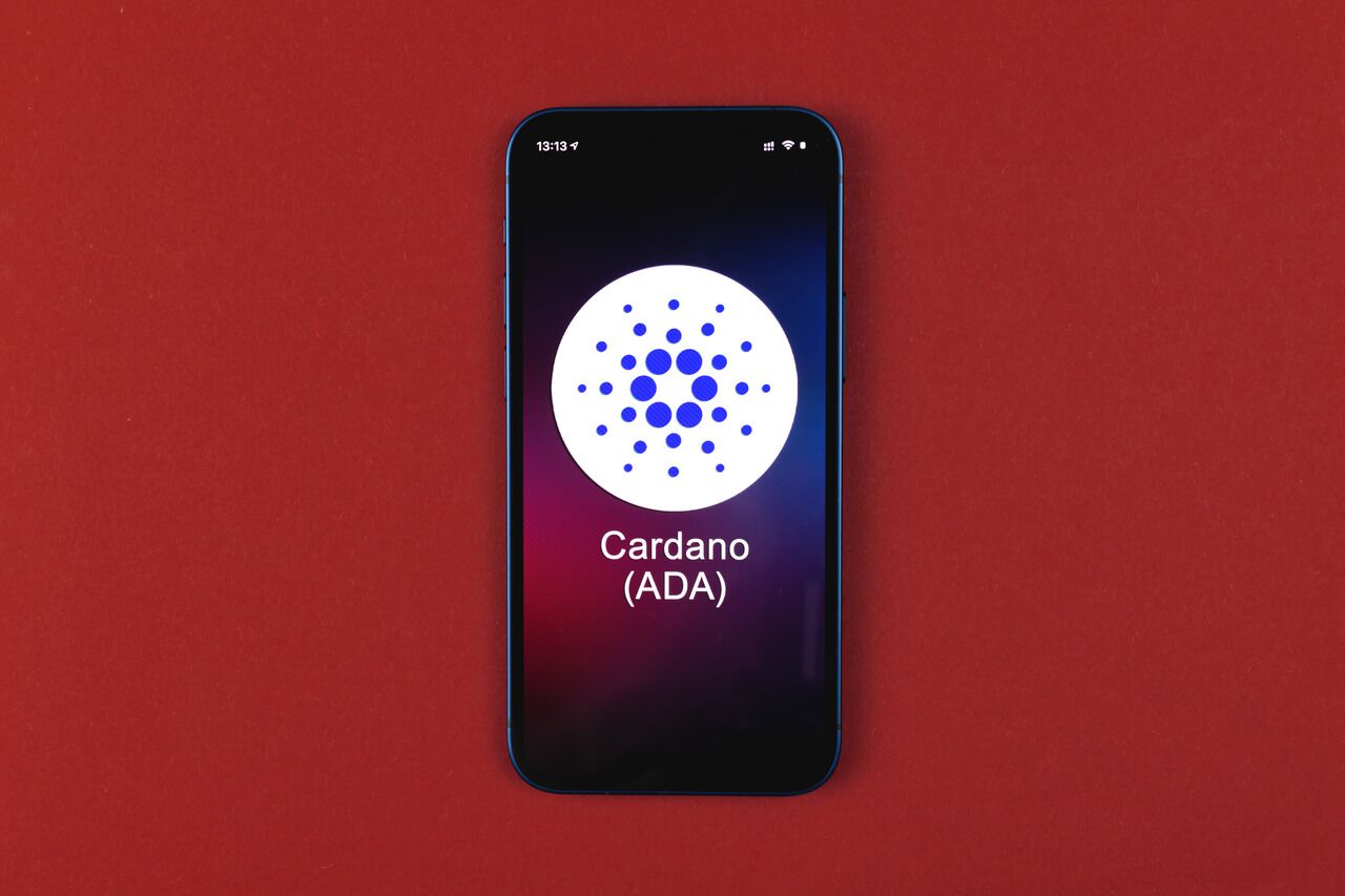 Cardano