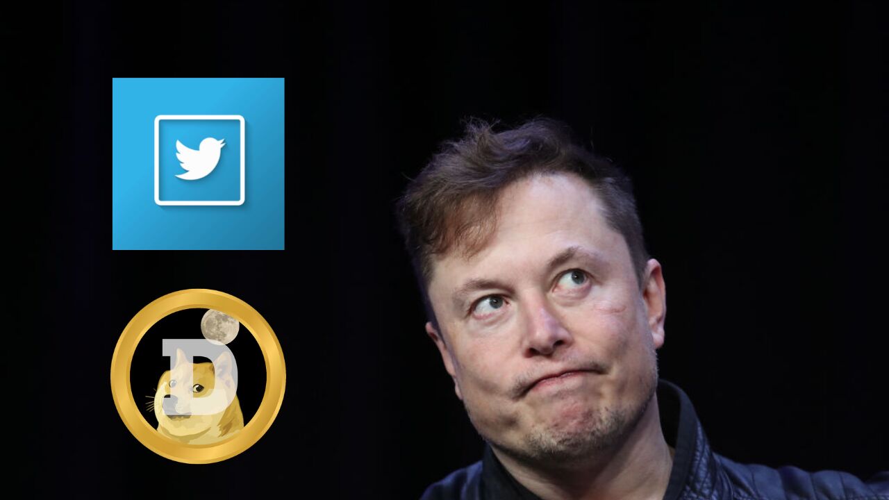 Curso de Dogecoin en Twitter de Elon Musk