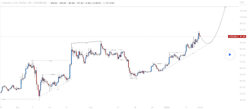 análisis de valor de litecoin