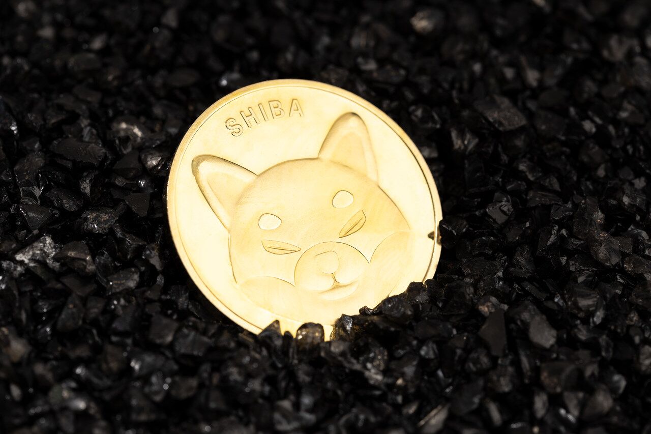 Moneda Shiba Inu