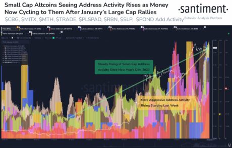 Santiment ADA SOL altcoins de pequeña capitalización