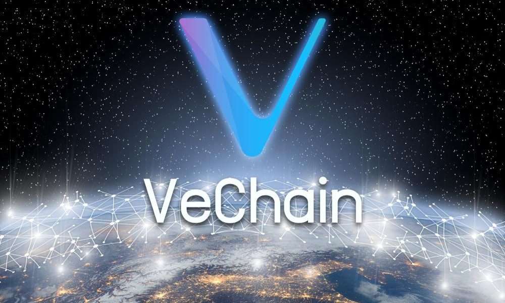 VeChainReebonz