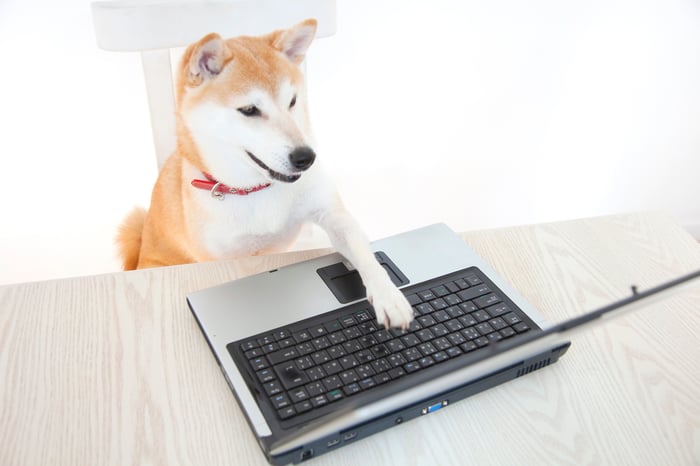 Un perro Shiba Inu se sienta en una silla, con una pata en el teclado de una computadora portátil.