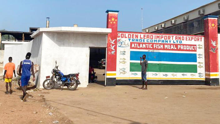 Fábrica de plomo dorado en Gunjur, Gambia