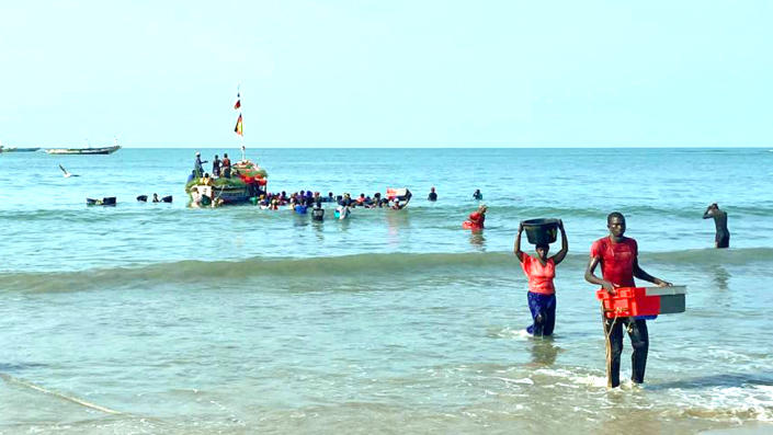 Personas cargando cestas de pescado en Gunjur, Gambia