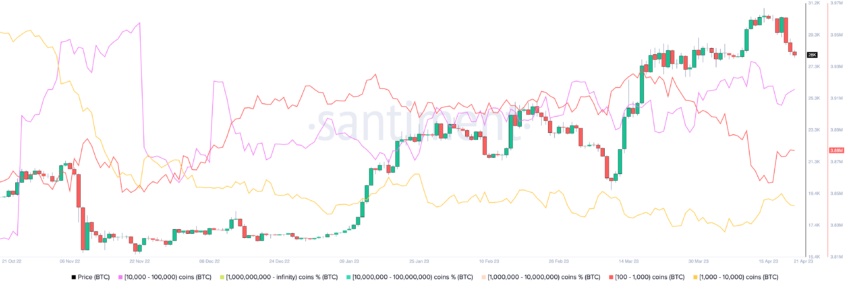 fluctuación impacto Ballenas de Bitcoin