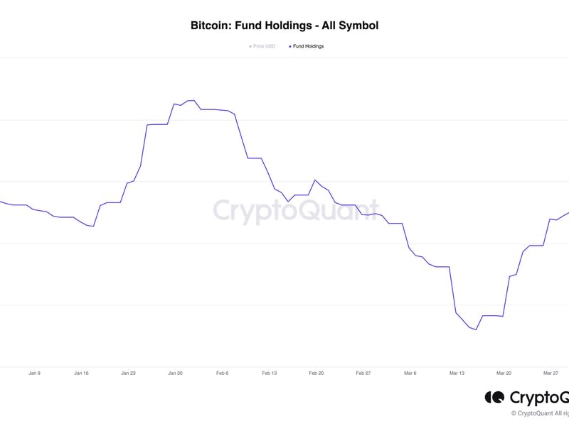 El gráfico mostró que los administradores de fondos criptográficos agregaron alrededor de 4000 bitcoins desde el 14 de marzo (CryptoQuant).