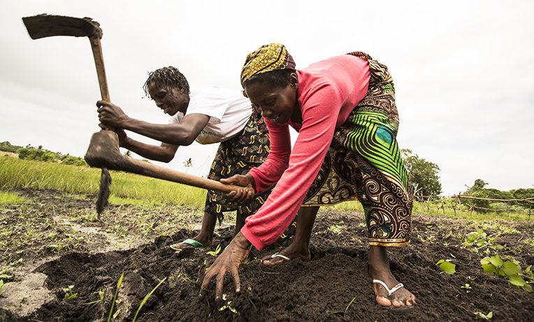 Mujeres cultivando