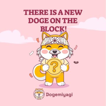 La nueva criptomoneda DogeMiyagi y Bonafide Blockchain Avalanche llevan el futuro de Web3