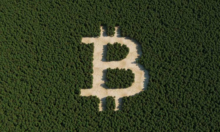 Bosque de inicio de sesión de Bitcoin