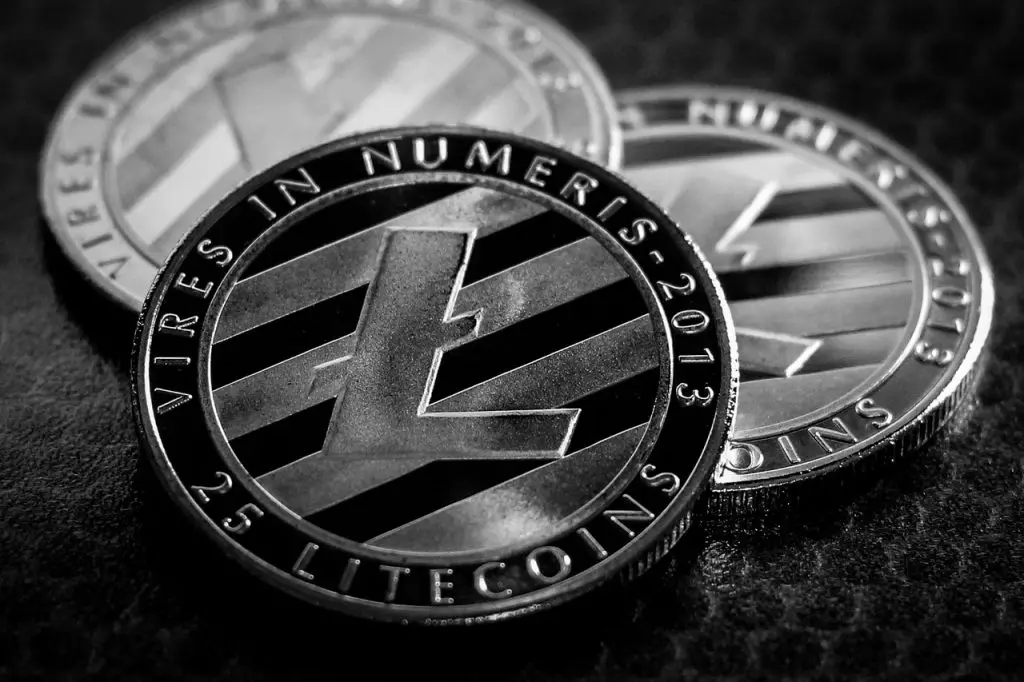 ¿Puede Litecoin llegar a $ 1000?