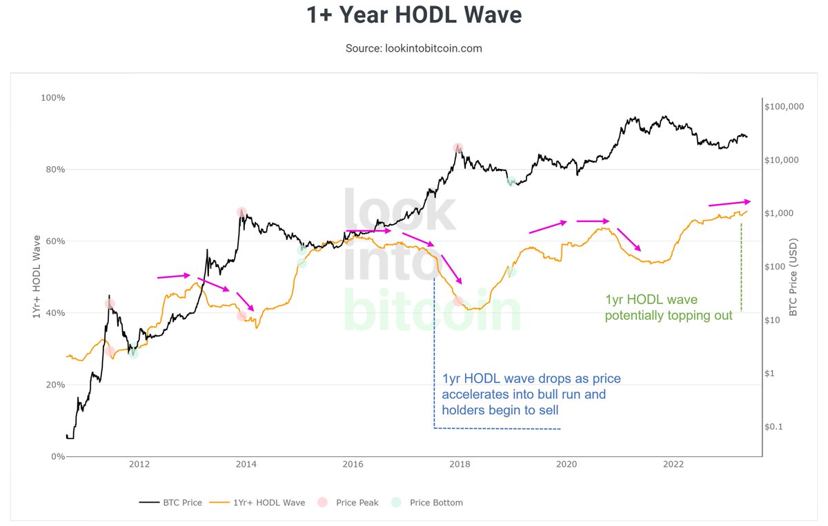 HODL Waves - 1 año