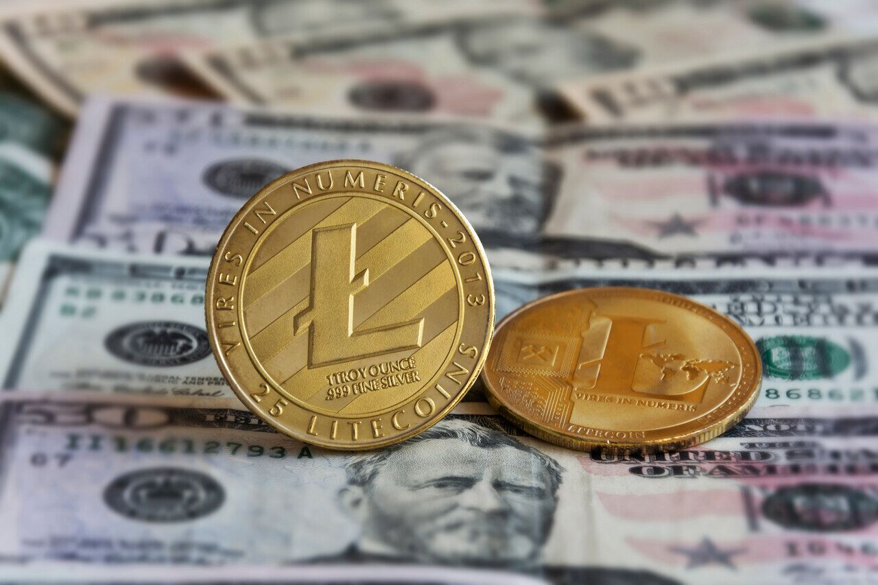 curso de litecoin