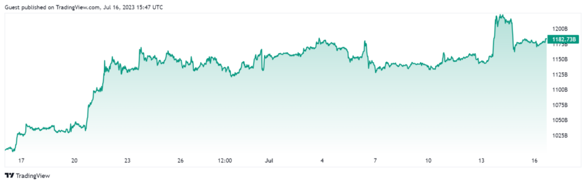 Capitalización de mercado del comerciante de criptomonedas