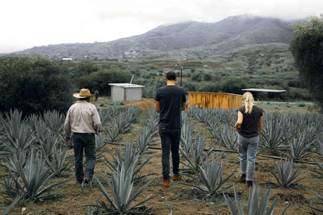 Jessica Pogranyi y Miguel Albarran caminando por campo de agave