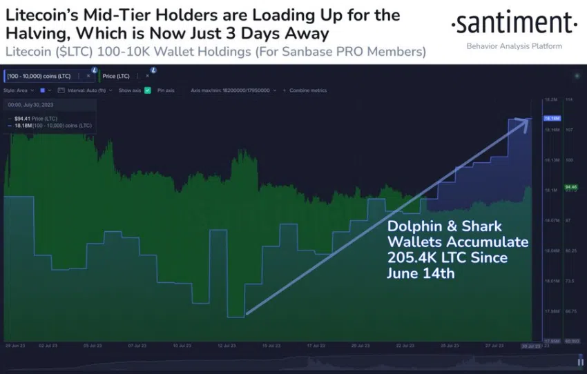 Acumulación de ballenas litecoin