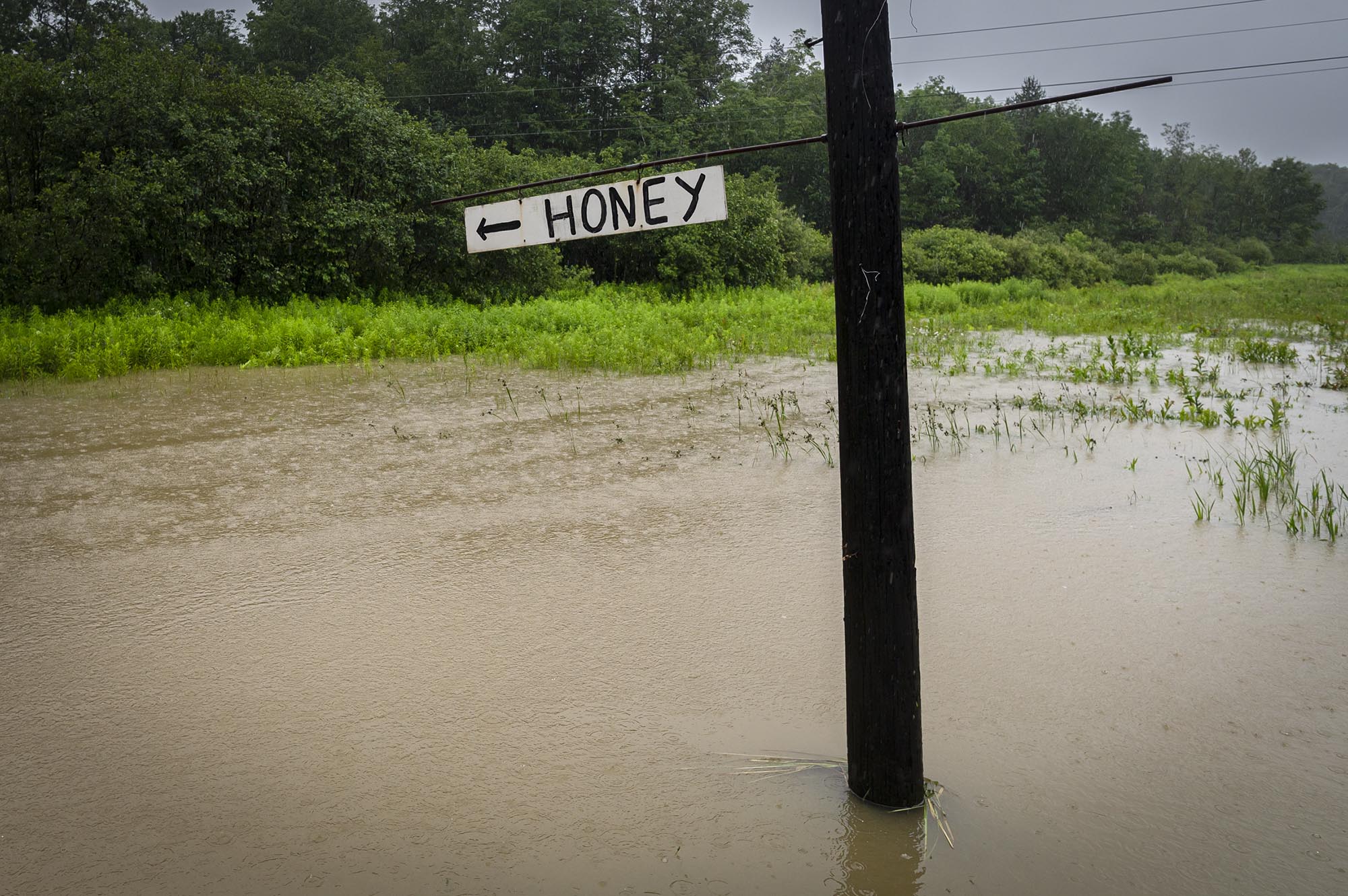 un poste con un letrero en medio de un campo inundado.