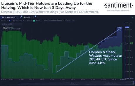 Litecoin tiburones y delfines