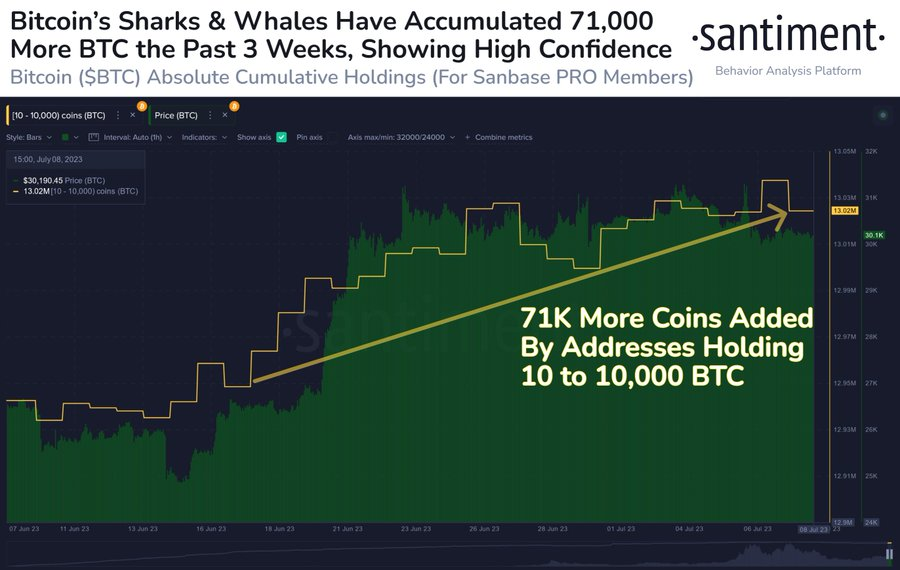 Acumulación de las ballenas Bitcoin