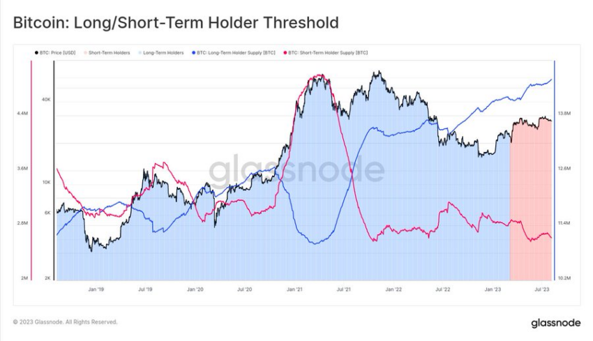 Holders de Bitcoin. 