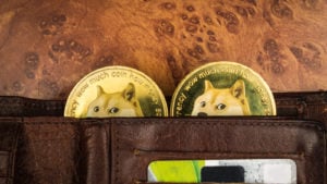 Monedas de Dogecoin con caras de doge que sobresalen de la cartera de cuero marrón.  Las monedas tienen las palabras. 