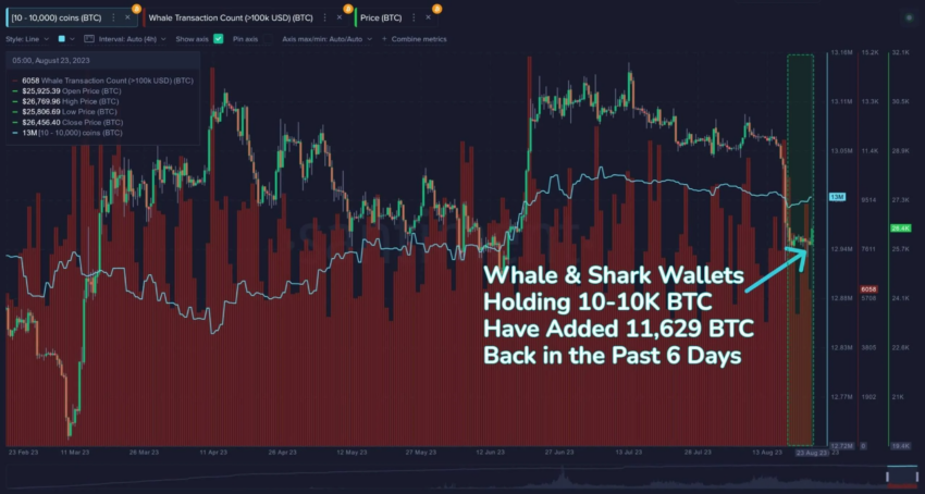 Monederos de ballenas y tiburones que poseen entre 10 y 10.000 BTC