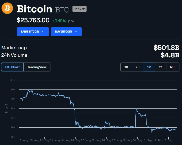 Precio de Bitcoin - 1 mes