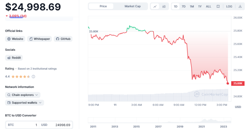 Precio de Bitcoin - 24 horas