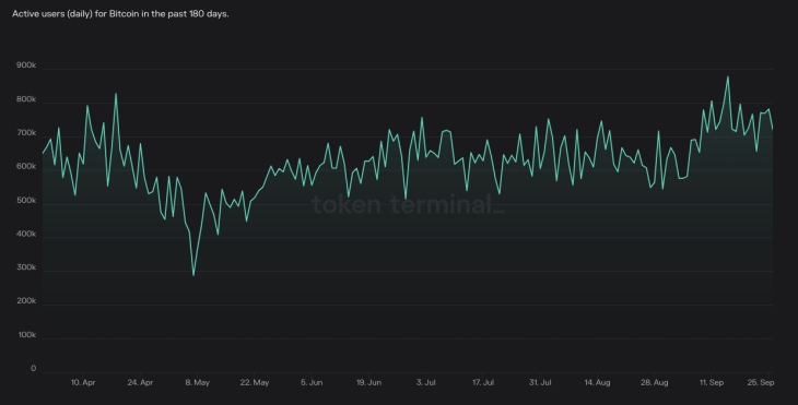 DAU de bitcoin en los últimos 180 días