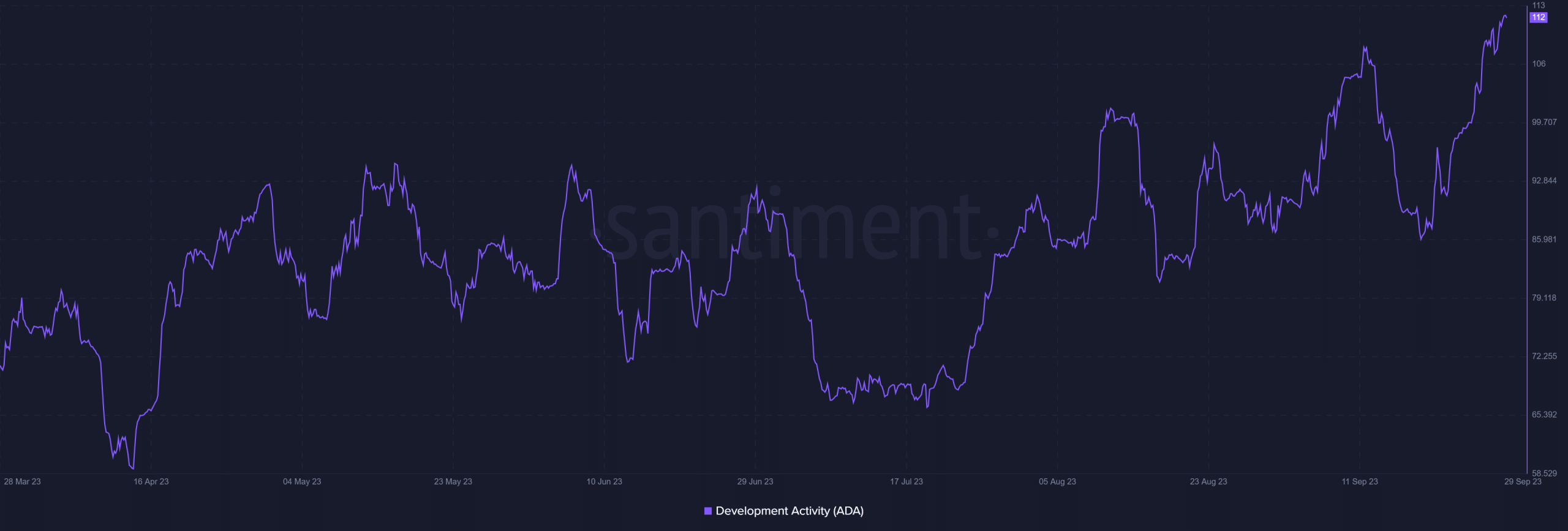 Actividad de desarrollo de Cardano