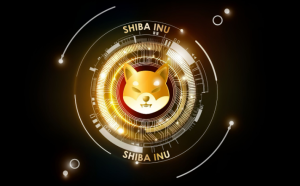 Shiba Inu