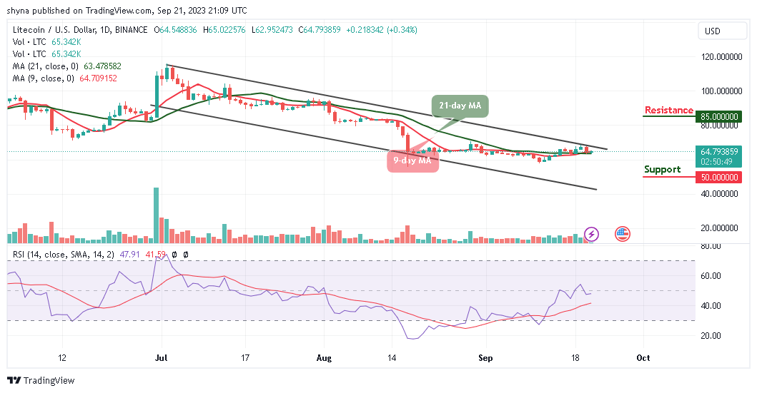 Predicción del precio de Litecoin para hoy, 22 de septiembre - Análisis técnico de LTC