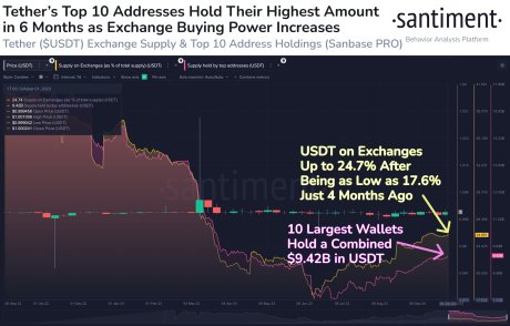 Monedas estables con poder adquisitivo de criptomonedas