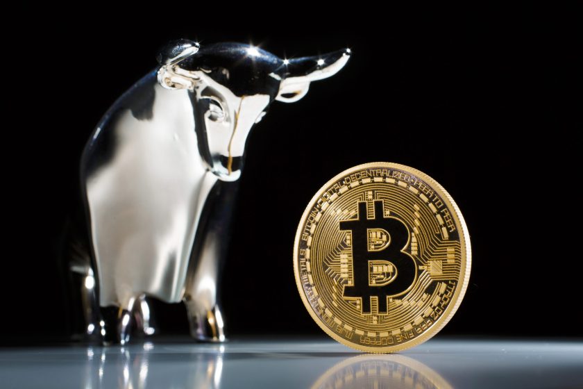 modelo Bitcoin está al lado de un toro