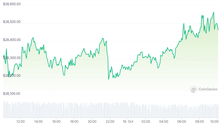 Precio de Bitcoin - 24 horas