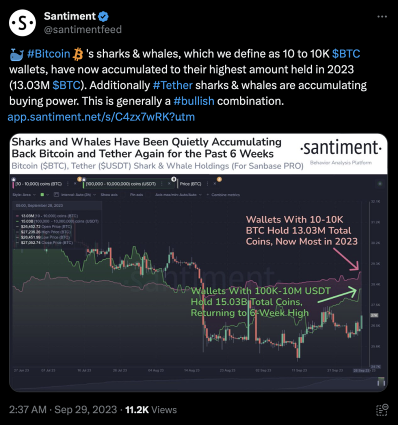 Ballenas y los tiburones de Bitcoin acumulan el 66% del suministro circulante de Bitcoin