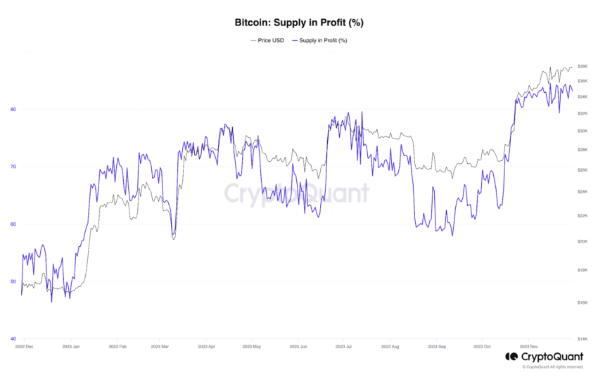 Oferta de Bitcoin (BTC) en beneficio (%). 