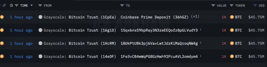 Transferencia de Coinbase en escala de grises