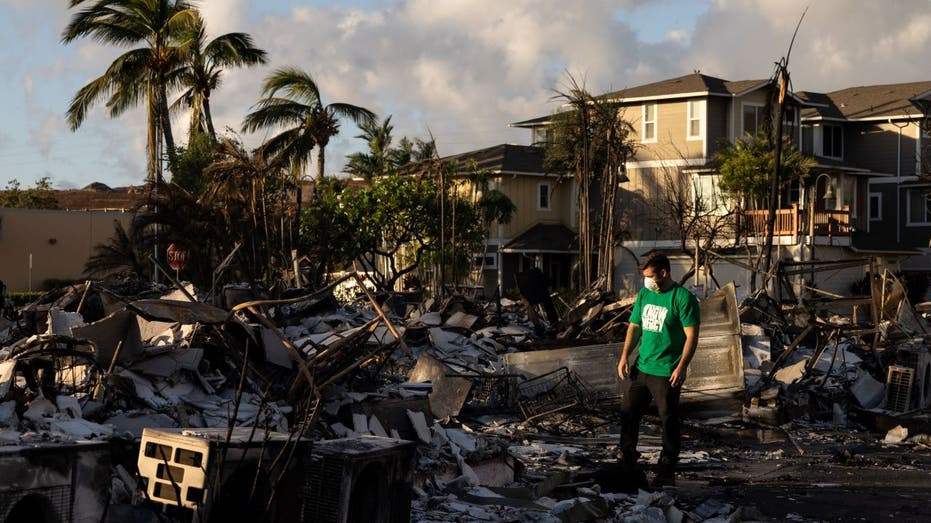 Daños por incendios forestales en Maui