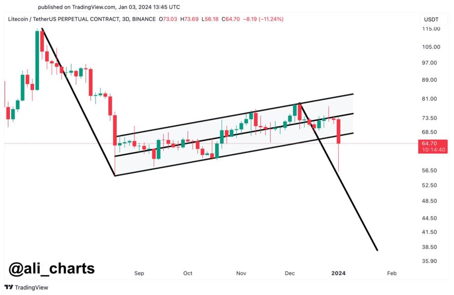 Bandera del oso Litecoin