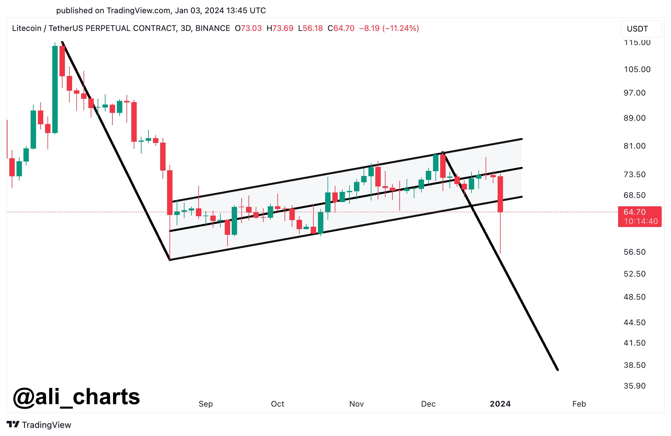 Bandera del oso Litecoin