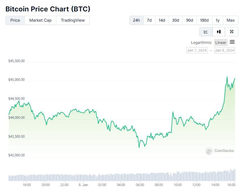 Precio de Bitcoin - 24 horas. Fuente: CoinGecko