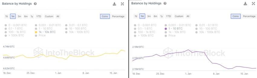 Balance BTC Holdings