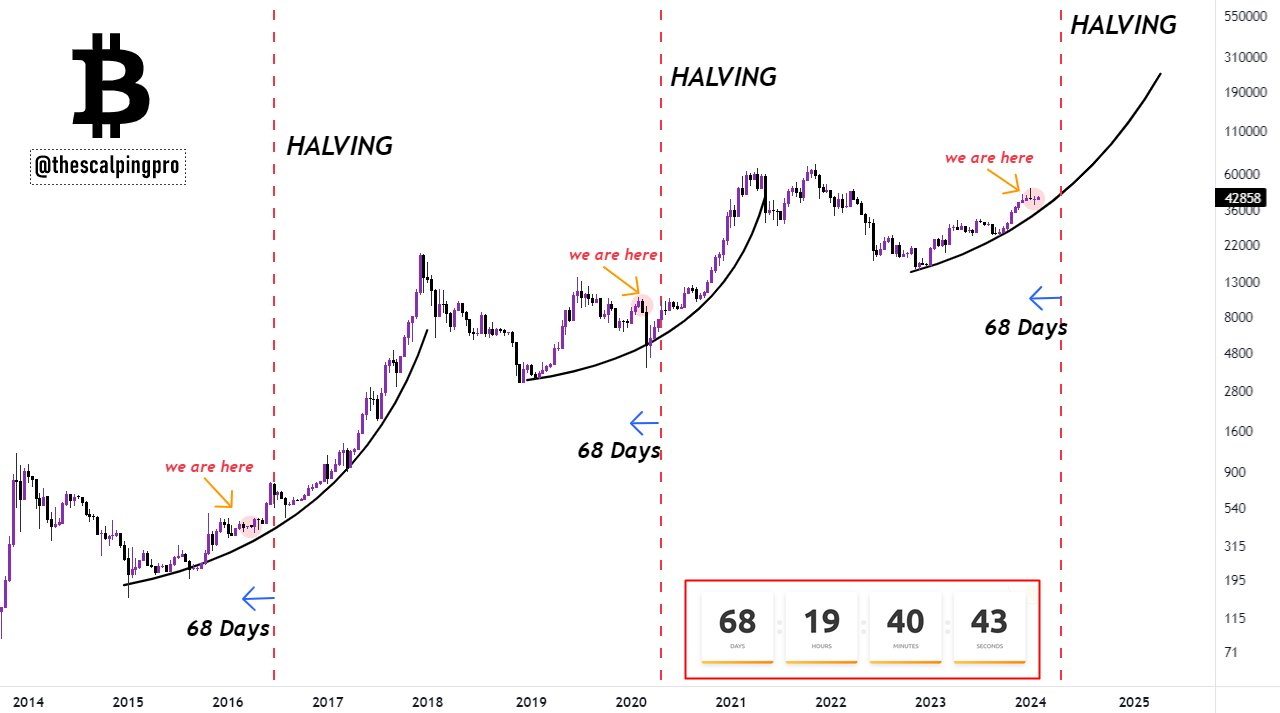 Predicción del precio de Bitcoin por Mags