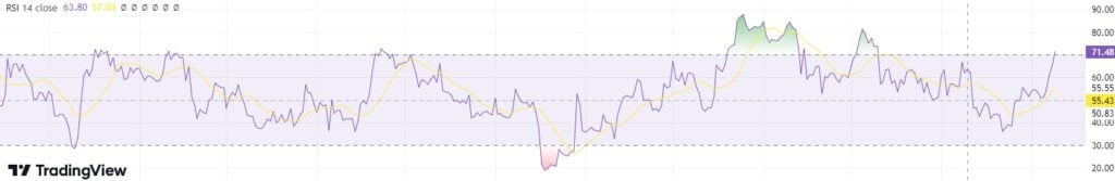 Gráfico BTC RSI.  Fuente: TradingView