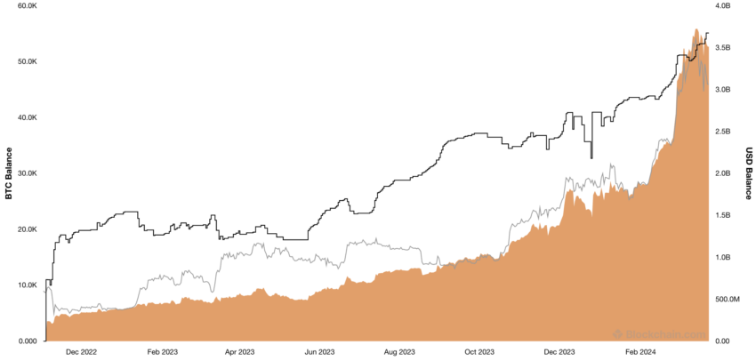 Holdings de Bitcoin de la ballena Mr. 100