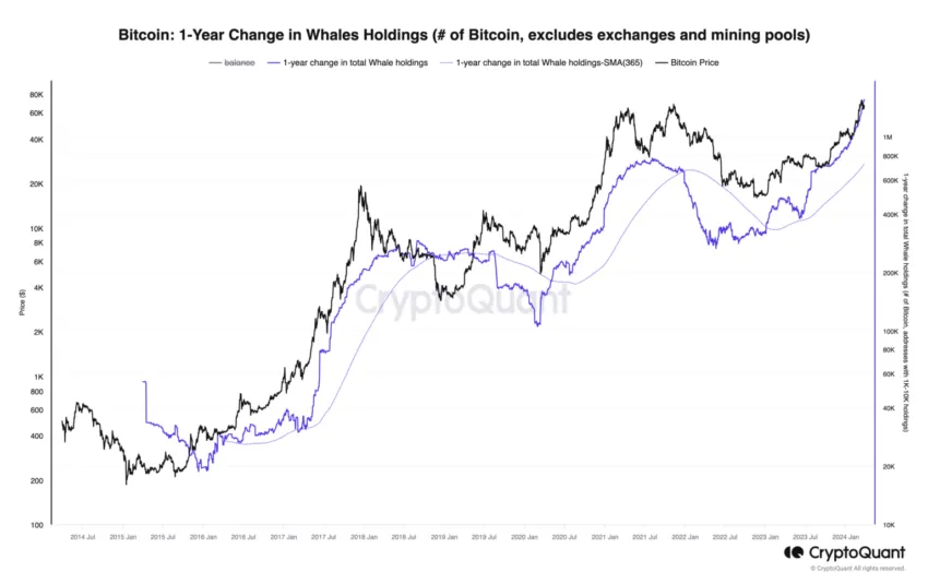 Tenencias de ballenas de Bitcoin. 