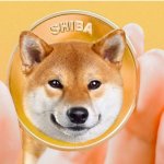 sosteniendo la moneda shiba inu