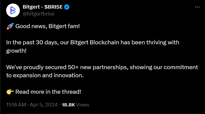 bitgert-brise